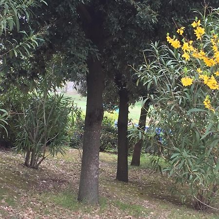 Appartamento Dell Agriturismo Pane E Olio โตดี ภายนอก รูปภาพ